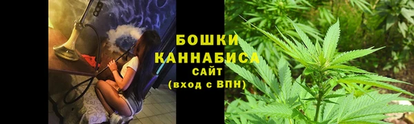 дживик Снежинск